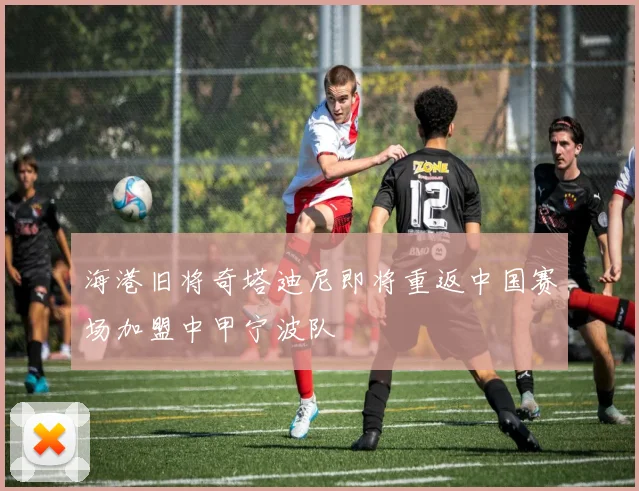海港旧将奇塔迪尼即将重返中国赛场加盟中甲宁波队